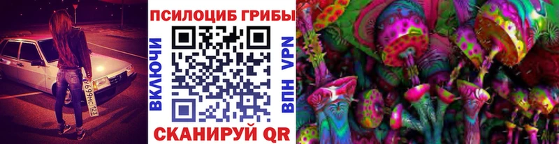 Купить закладки  Мостовской  Псилоцибиновые грибы мицелий 